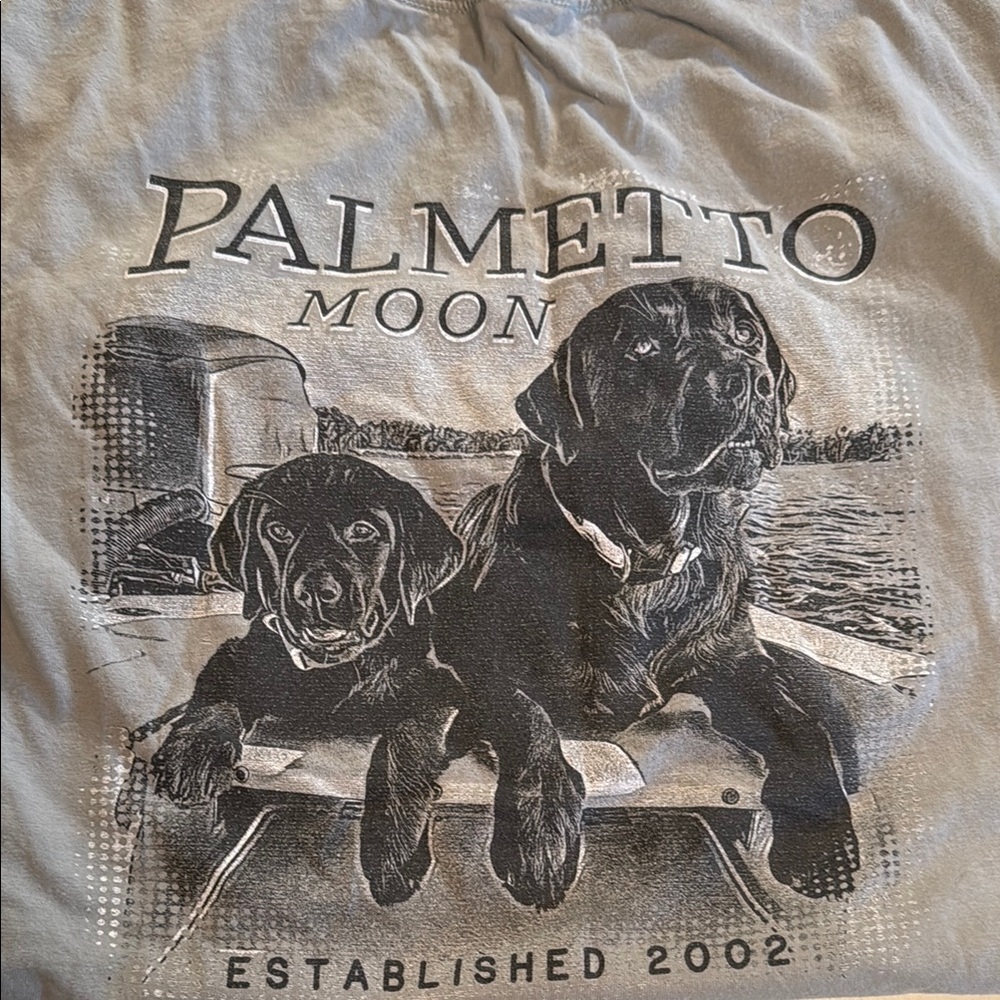 Hanes Palmetto Moon Light Gray T-Shirt Size Medium